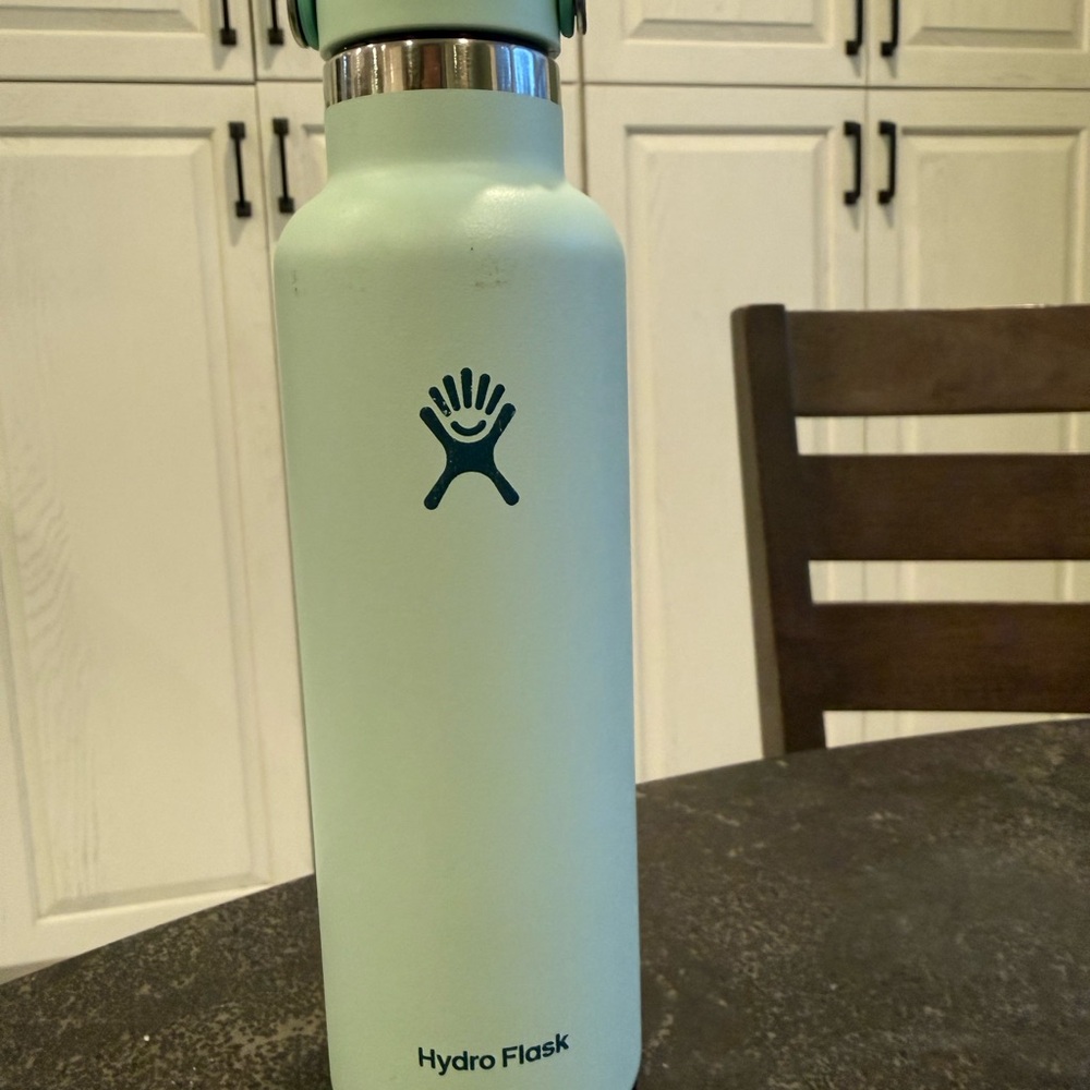 Hydro Flask Light Green Bottle with Black Logo